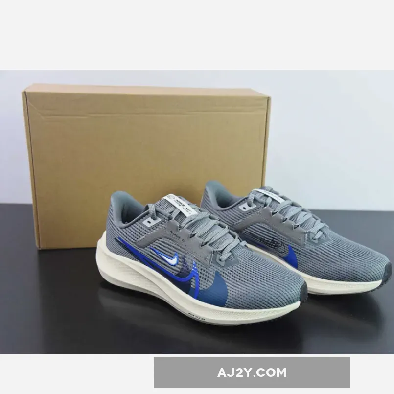 Nike Air Zoom Pegasus 40 Smoke Grey / Sea Blue